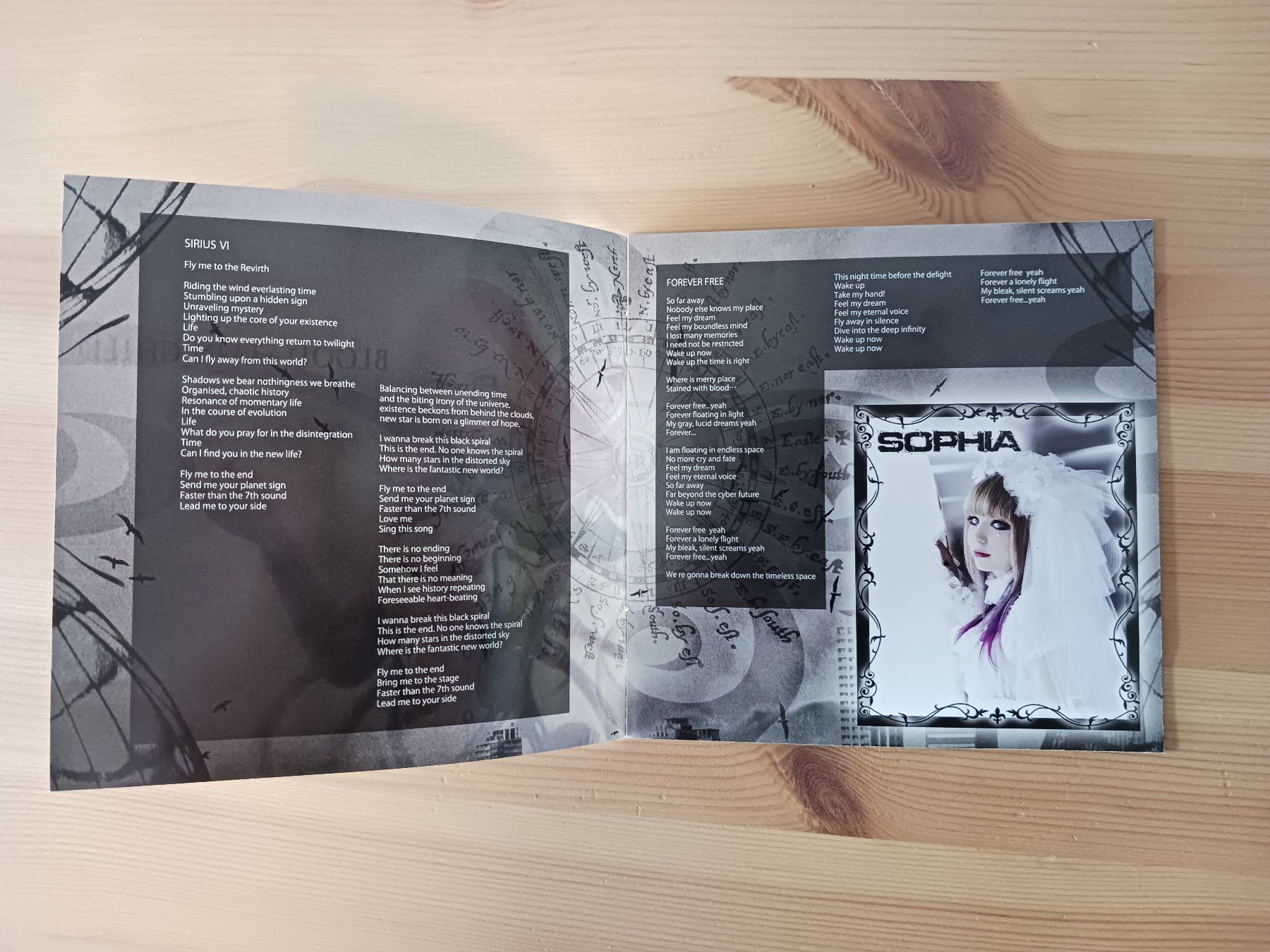 CDs: Blood Stain Child - Epsilon, CD – Gebraucht aus St. Gallen von KCC 4