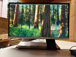 Acer S236HL 23” IPS Monitor – Full HD – HDMI / VGA