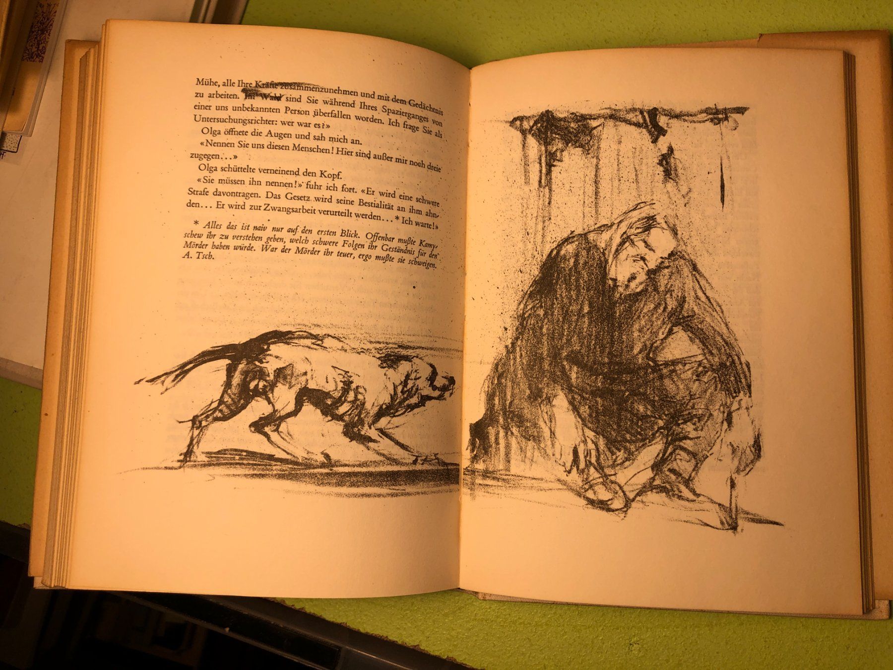 Libri: Anton Tschechow: Die Tragödie auf der Jagd. – Usato da Zürich venduto da allp 7