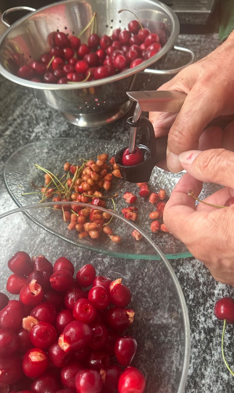 Elettrodomestici da cucina: GEFU Kirschenentseiner Cherry Pitter – Usato da Zürich venduto da brazerola