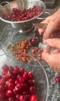 GEFU Kirschenentseiner Cherry Pitter