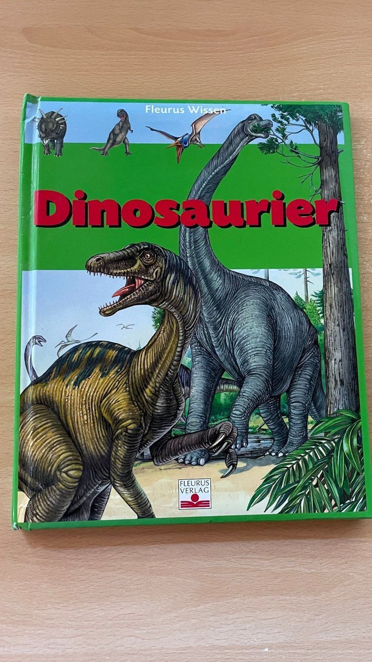 Libri: Dinosaurier – Usato da Glattfelden venduto da cybermaxx