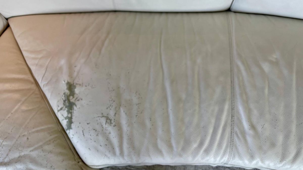 Sofas: Ledersofa von Natuzzi – Gebraucht aus Pfäffikon ZH von patmanu04 6