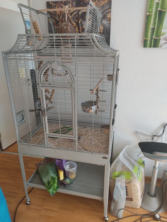 Seegras Matte Für Vögel - Natürliches Kletterspielzeug Für Käfig