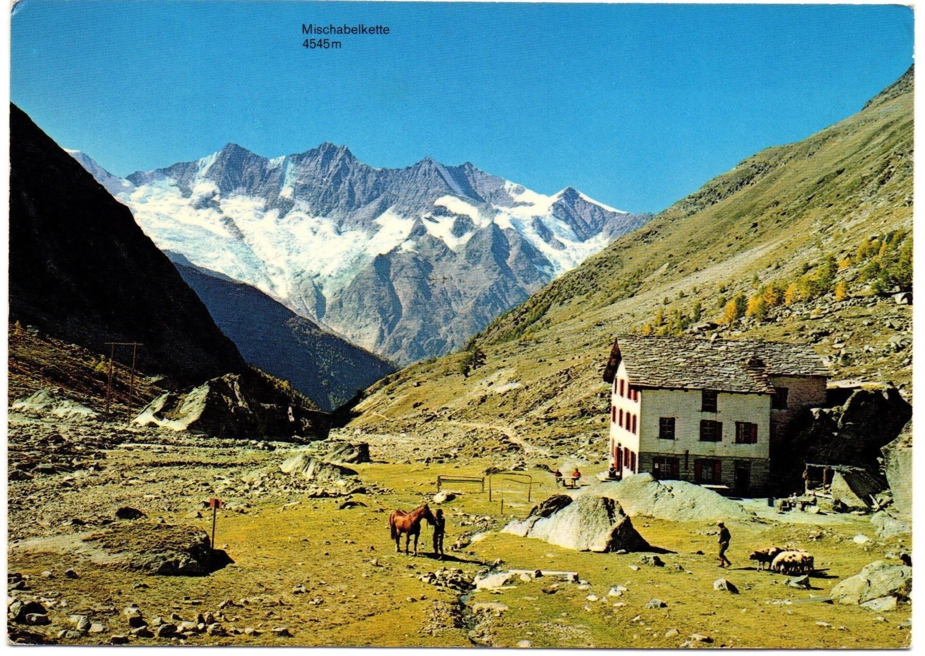 Ansichtskarten: SAAS-FEE Almagelleralp, Pferd, belebt – Gebraucht aus Jona von philajona
