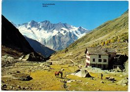 SAAS-FEE Almagelleralp, Pferd, belebt