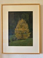 Gemälde Herbstbaum im Wald mit Rahmen M.B. signiert