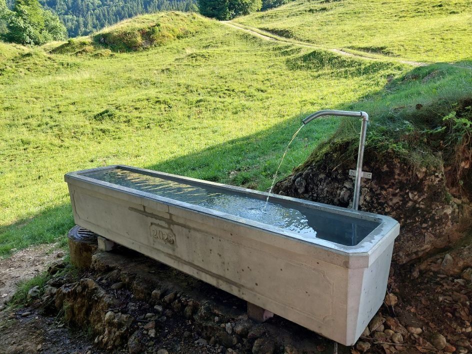 Stagni & Fontane ornamentali: Brunnen  Trog  Betonbrunnen – Nuovo (secondo la descrizione) da Urnäsch venduto da Gwandsenn 6