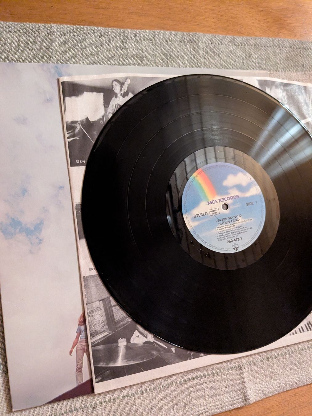 Dischi in vinile: Lynyrd Skynyrd - Nuthin' Fancy – Usato da Euseigne venduto da Barbichette 2