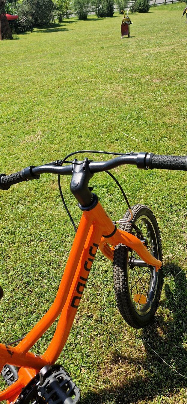 Naloo Biciclette: Naloo Chameleon 16 "  – Usato da Einsiedeln venduto da Shenayka 1