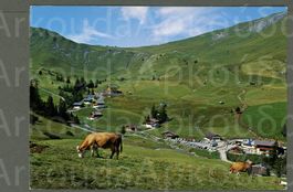 AK color Adelboden BE Geils,Geilsbrüggli,Hahnenmoos ≈ 1971
