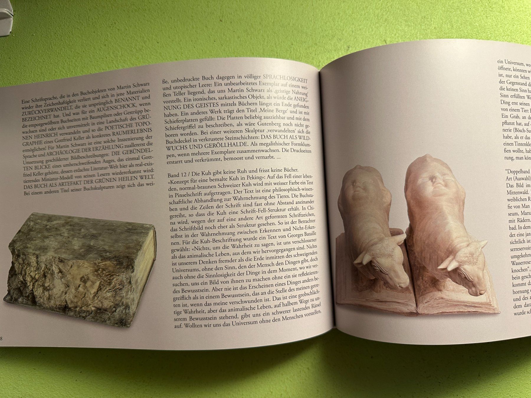Libri: Martin Schwarz: Das Buch-Buch. – Usato da Zürich venduto da allp 7