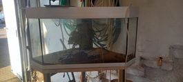 Eckaquarium Juwel 190l