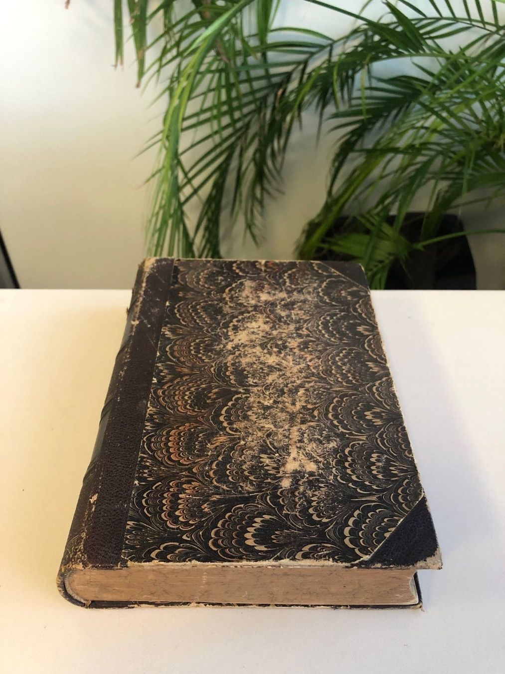 Libri: Handbuch der Färberei der Spinnfasern ! – Usato da Brügg BE venduto da better14