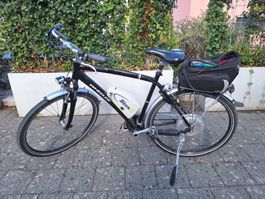 Ebike WHEELER Alterra