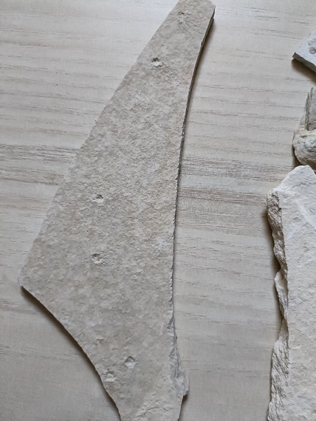 Fossili: Fossilien Sammlung von Solnhofen, DE – Usato da Baden venduto da mar_zhd9 7