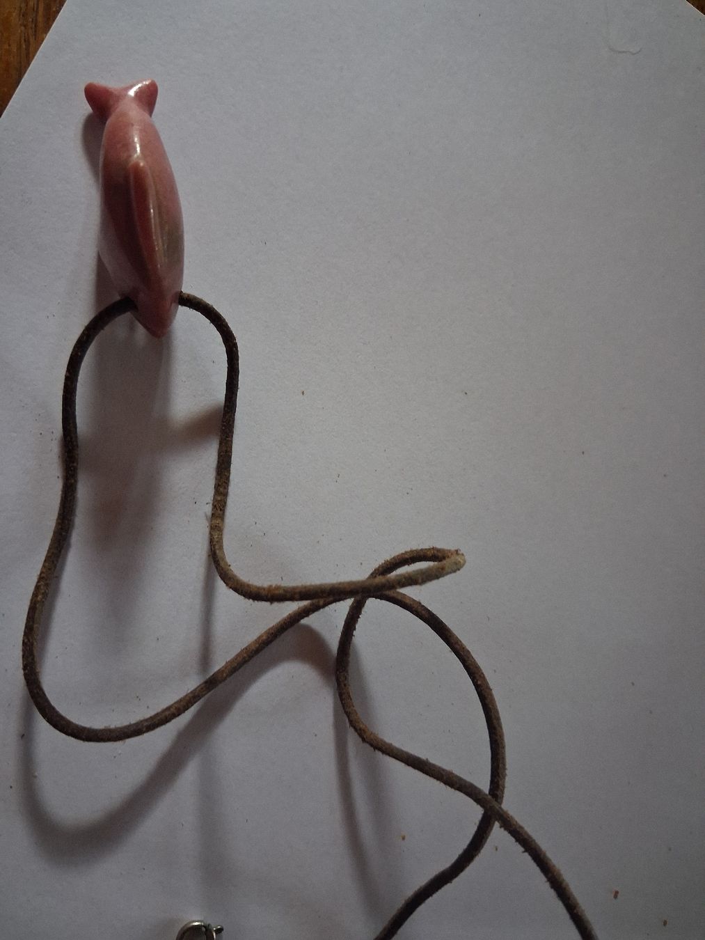 Ketten: Delphin Anhänger mit Lederkette – Gebraucht aus Eggiwil von Nety07 2