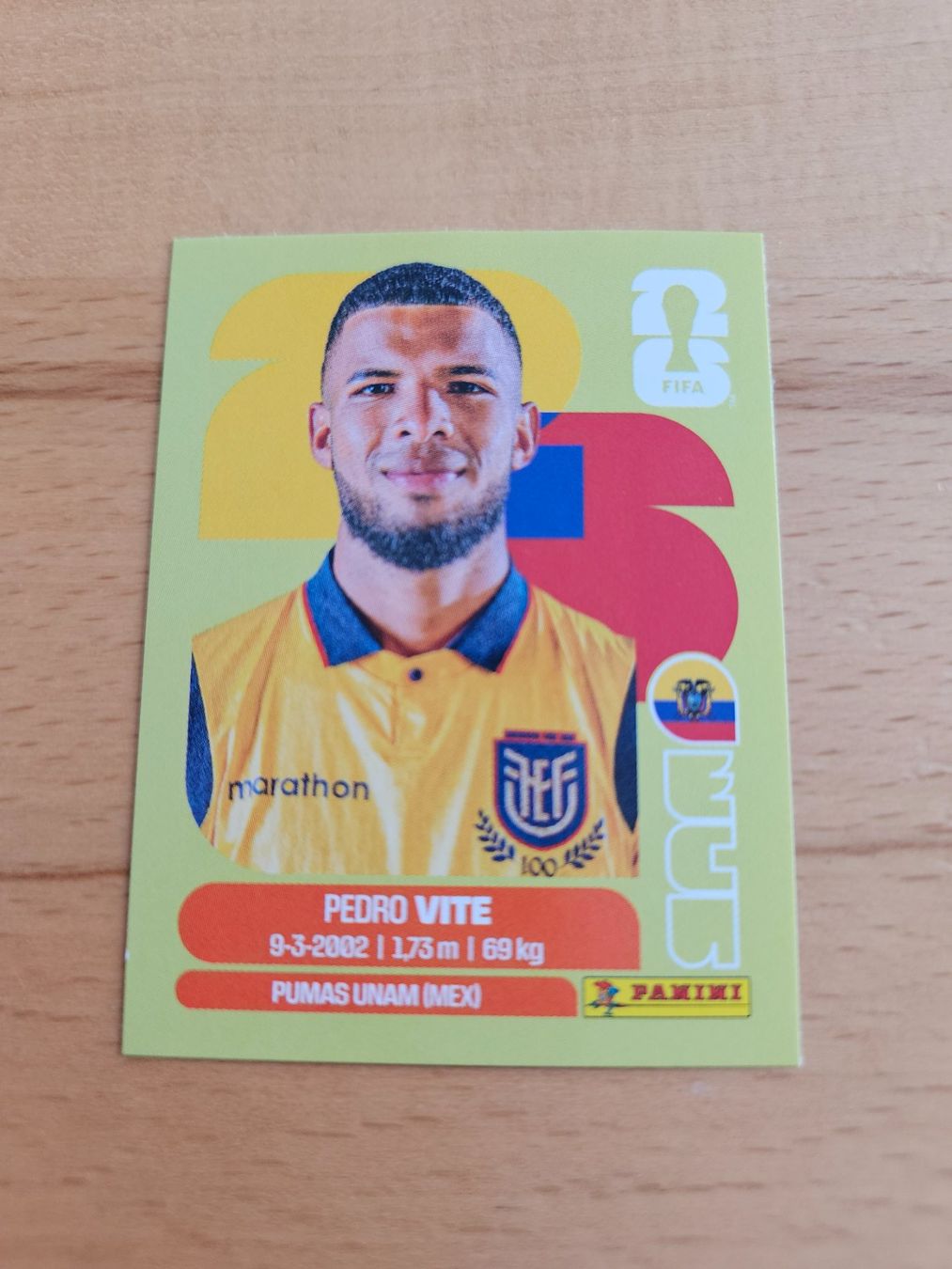 Panini Carte collezionabili: Panini WM 2026 ECU 12 – Nuovo (secondo la descrizione) da Winterthur venduto da melac