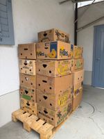 Bananenschachteln 26 Stück