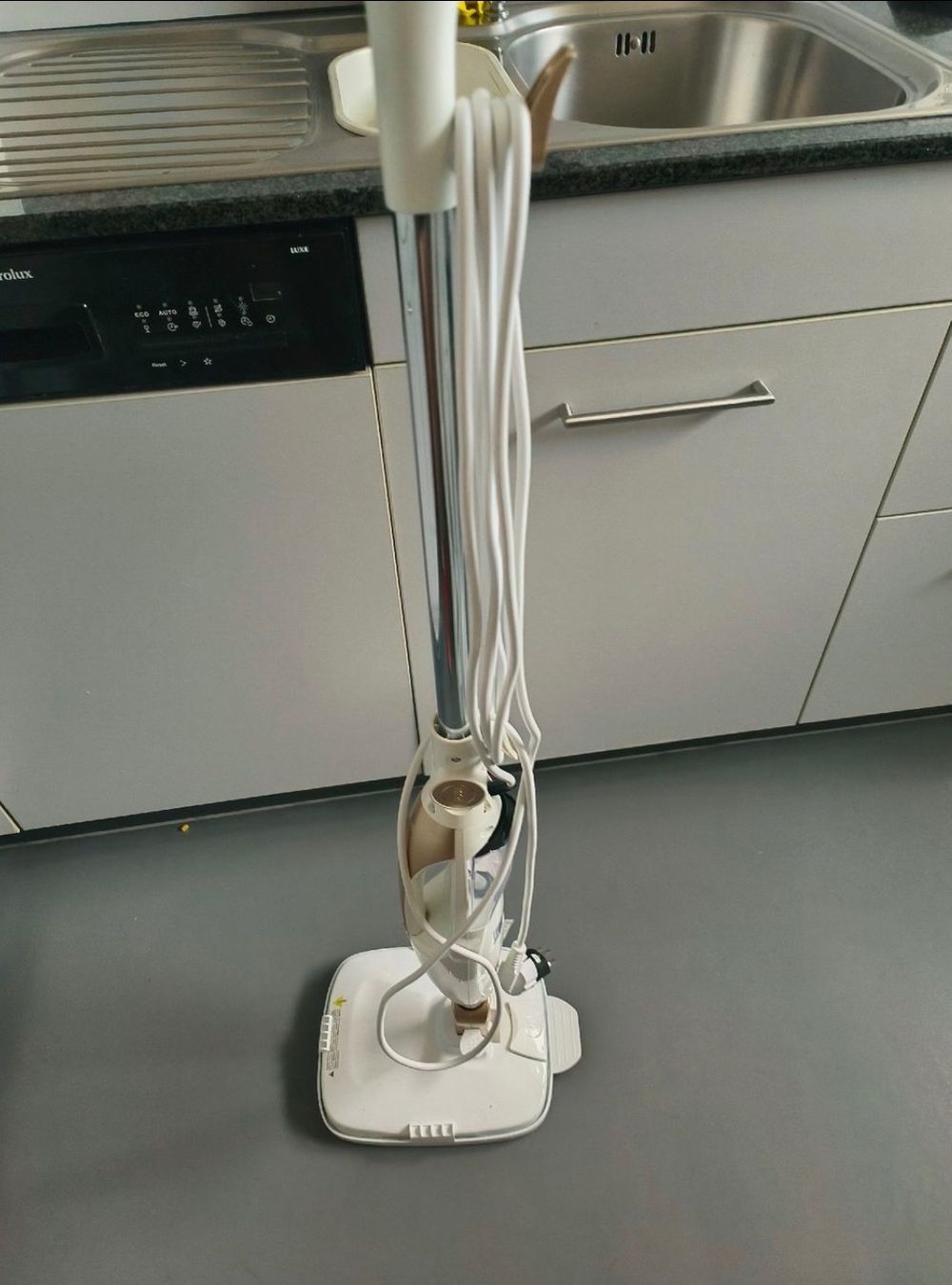 Livington Pulitori a vapore: Livington Prime Steam Scrubber – Usato da Luzern venduto da mon_6rzf 1