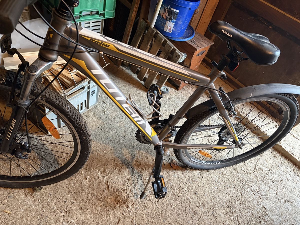 Totem Biciclette: Totem Kinder Bike – Usato da St. Silvester venduto da Redneck83