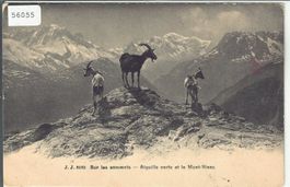 Sur les sommets - Aiguille verte et le Mont-Blanc - Ziegen