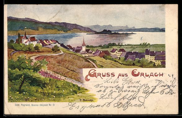 Ansichtskarten: Erlach, Gesamtansicht mit Wasserpanorama – Gebraucht aus Berlin von bartko-reher