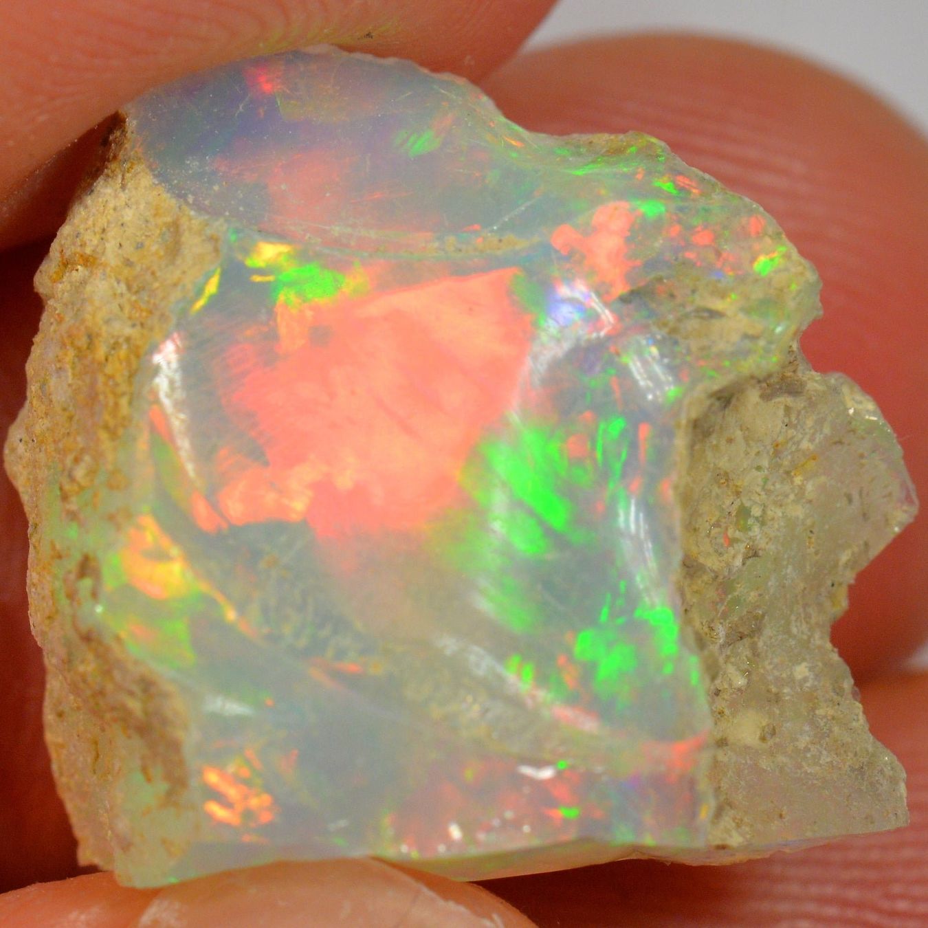 Pierres précieuses: 19.2 Karat - Roher Äthiopischer Welo Opal – Neuf (Voir description) à Rüti ZH par DeinOpal