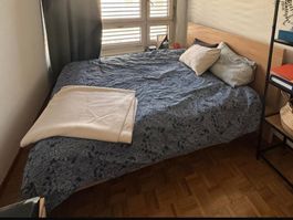 Bed + Box Spring + Mattress