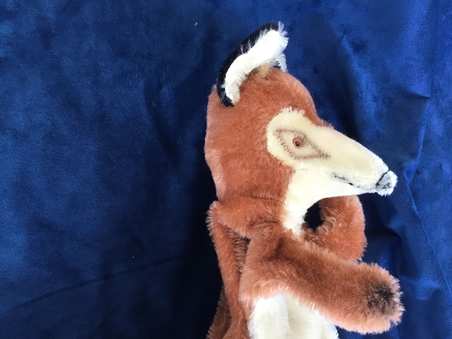 Steiff Jouets: Steiff Handpuppe Fuchs – D'occasion à Gossau ZH par ClaudealDente 2