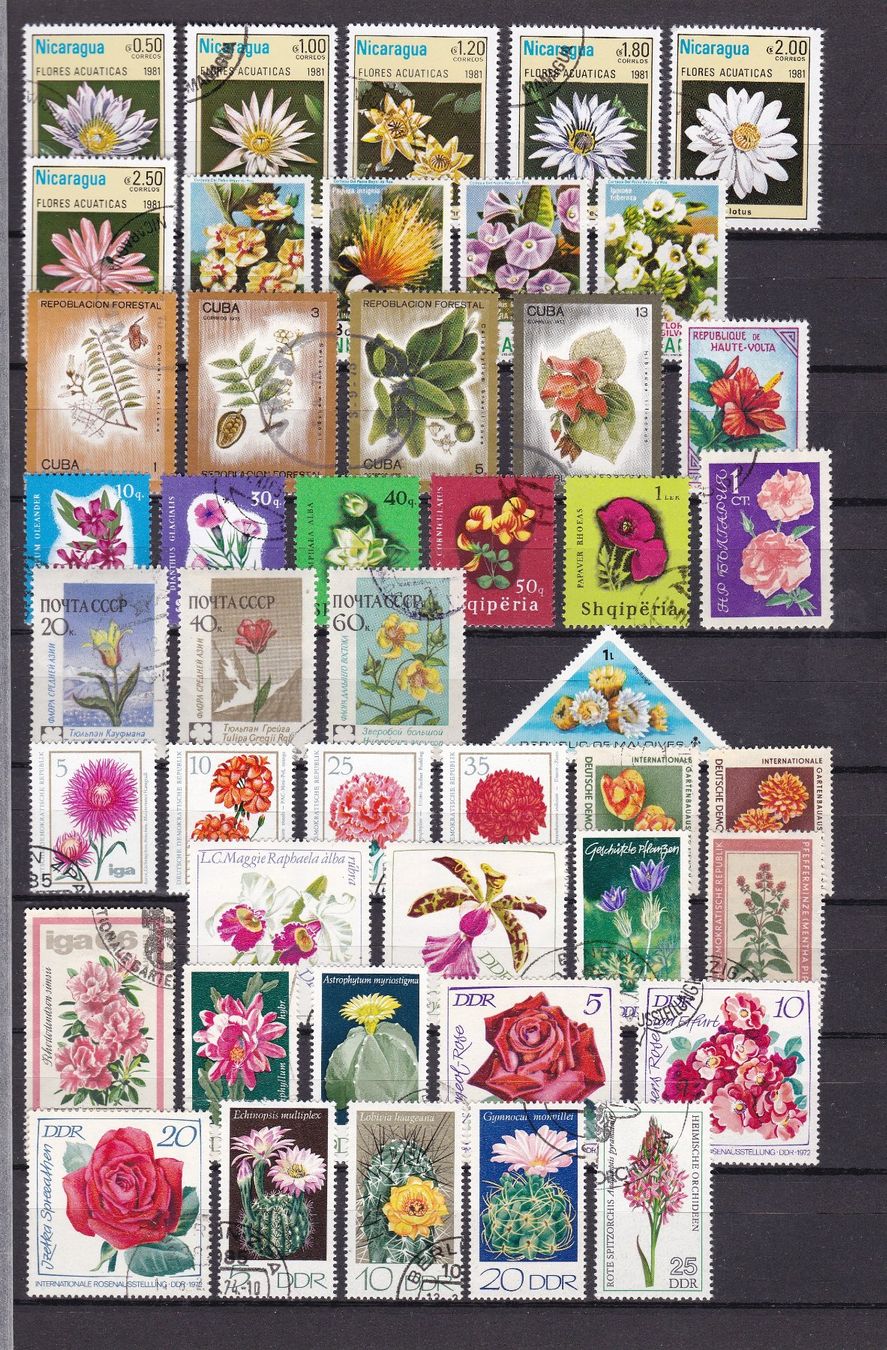 Tutti i francobolli: Motiv-Sammlung BLUMEN – Usato da Gretzenbach venduto da Sikim 2