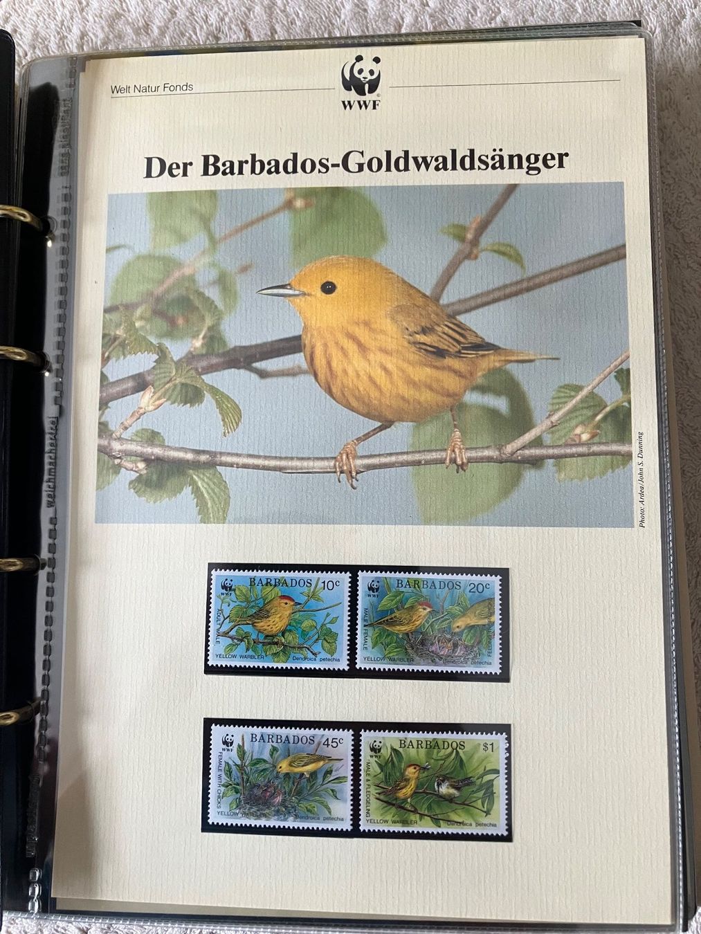 Alle Briefmarken: 6 Ordner WWF Briefmarken – Gebraucht aus Baar von Ramona10 8