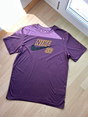 Nike SB Dri-FIT Logo T-Shirt