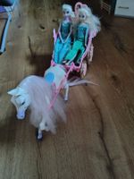 Elsa und Anna Puppen mit Pferdekutsche
