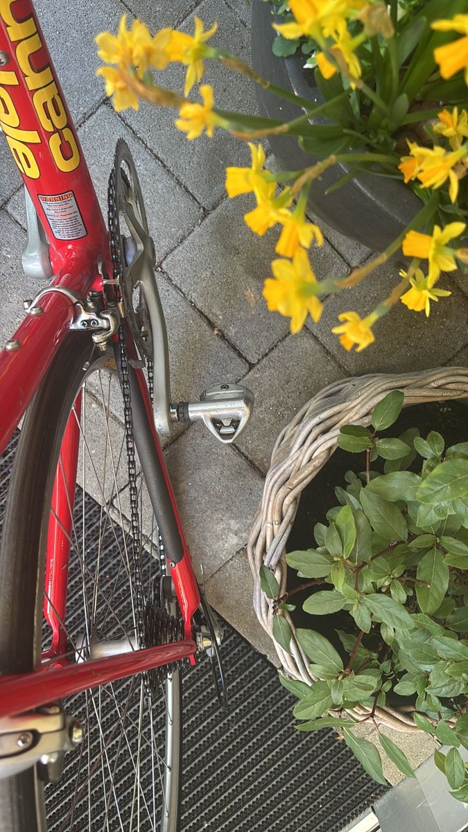 Cannondale Biciclette: Cannondale CAAD3 Saeco Design – Usato da Pfäffikon SZ venduto da phi_9tp5 4