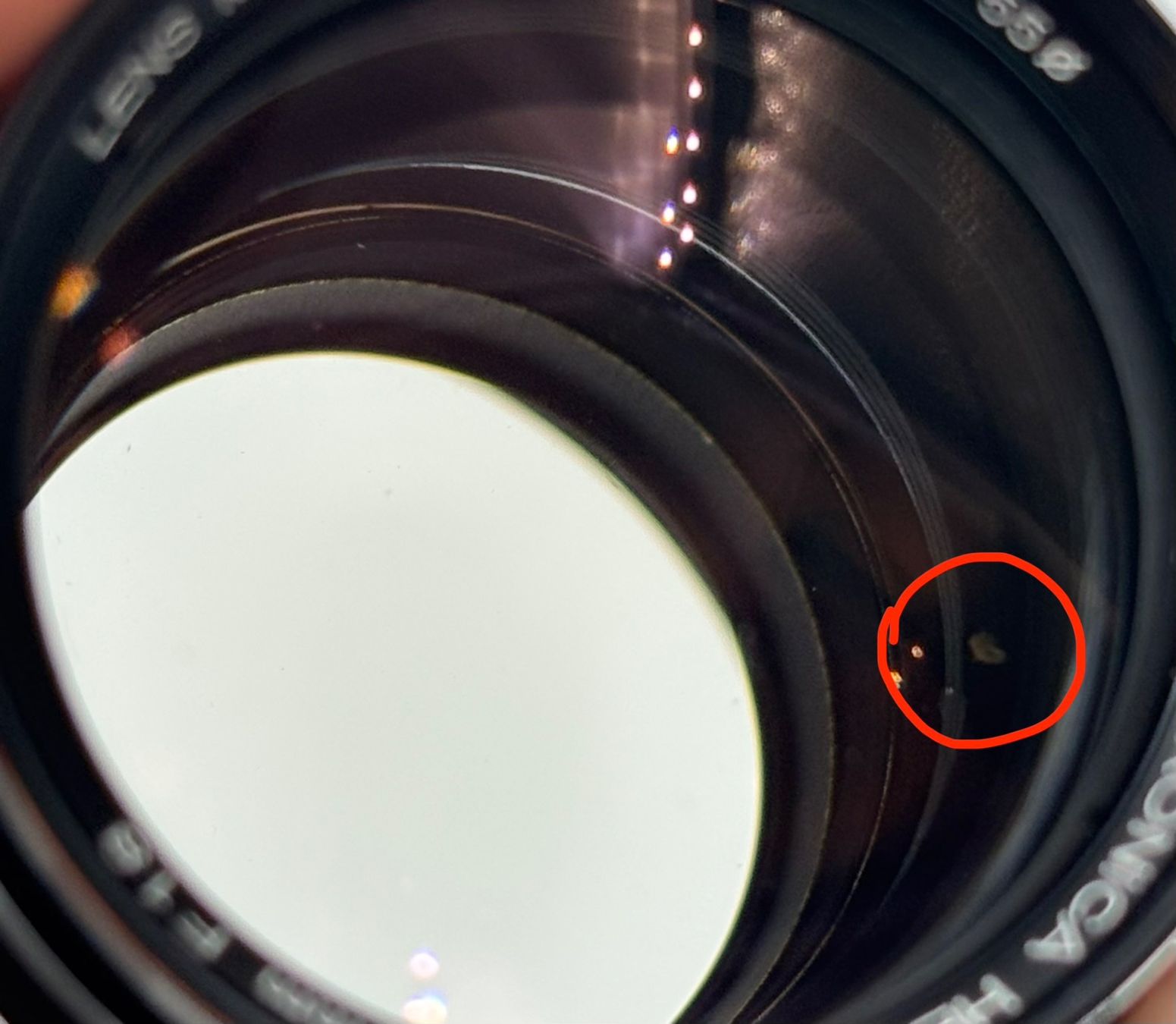 Konica Obiettivi: Konica Hexanon AR 85mm F1.8 / 1.8 EE-Version + Insekt? – Usato da Seewis Dorf venduto da Plebejus 8