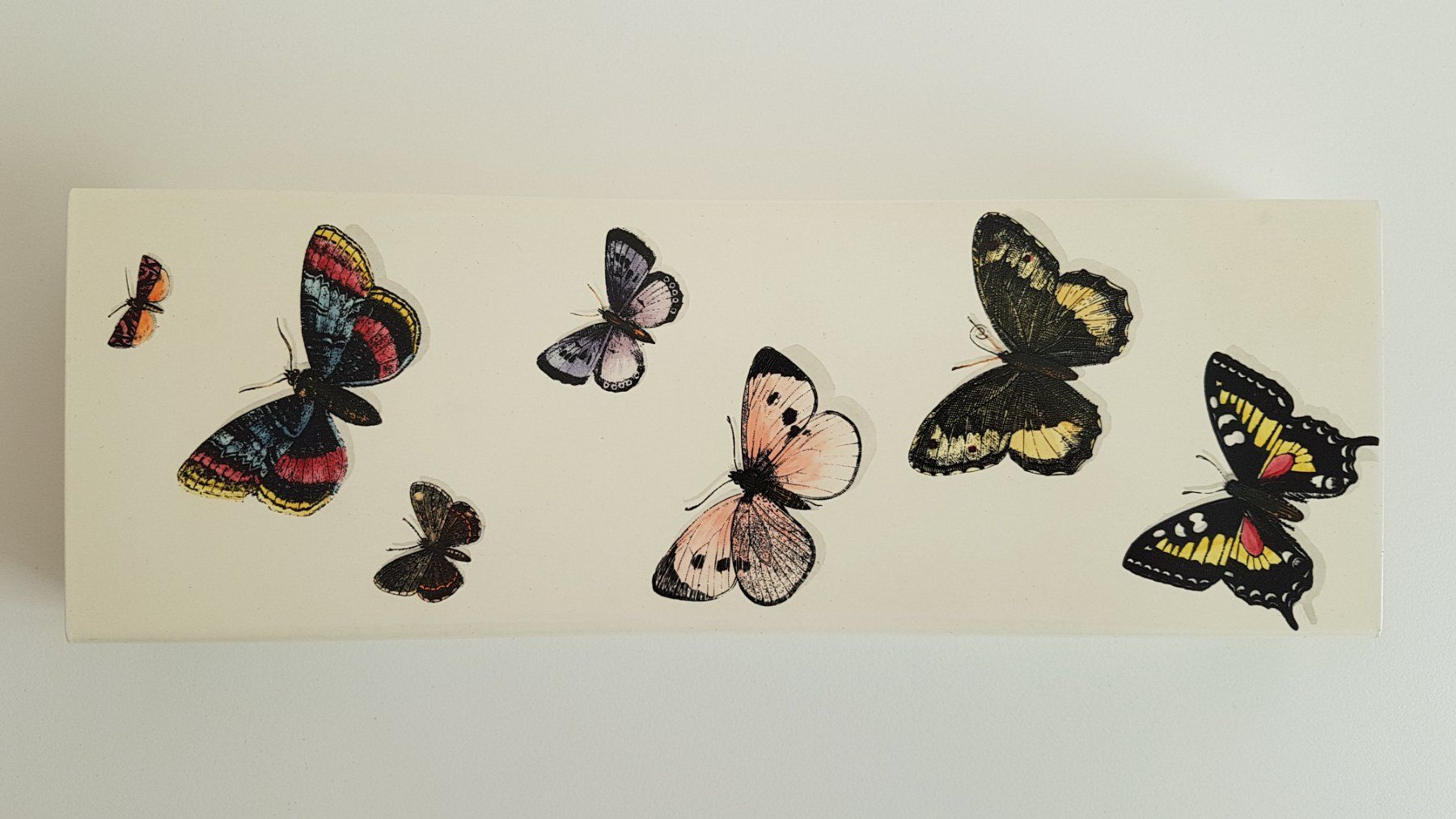 Altro in Decorazioni & Accessori: Fornasetti Aufbewahrungsbox – Nuovo (secondo la descrizione) da Basel venduto da dav_6dyd 1