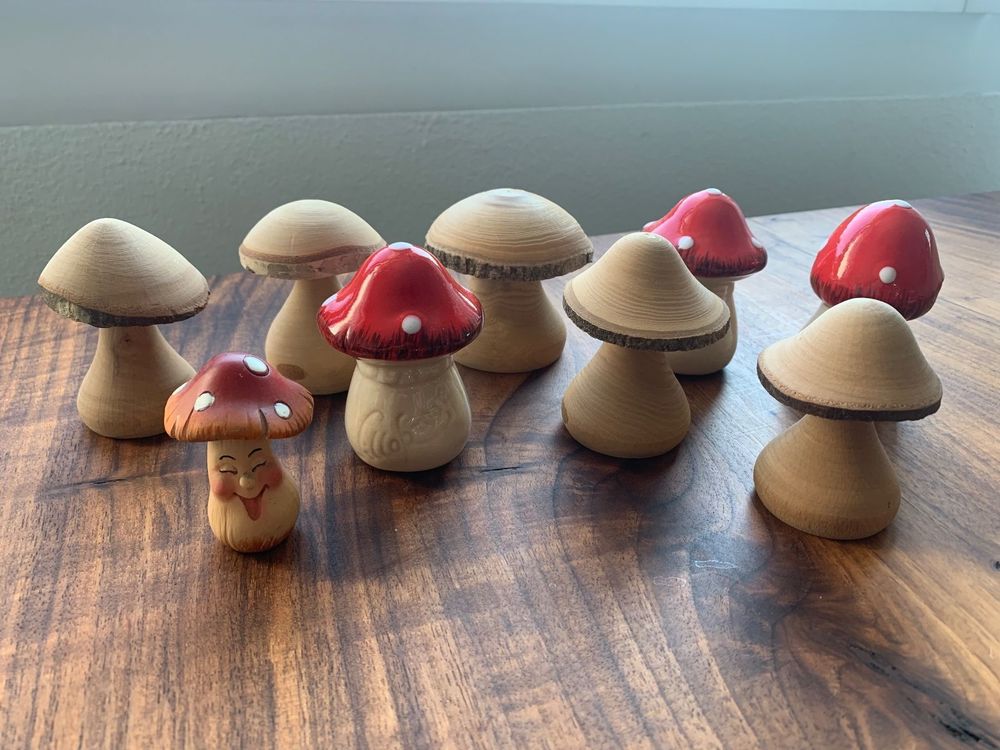 Youeon Mini-Pilz-Figuren-Set – 12-teilig, Aus PVC, Realistische Pilz-Deko Für Garten, Feengärten & DIY