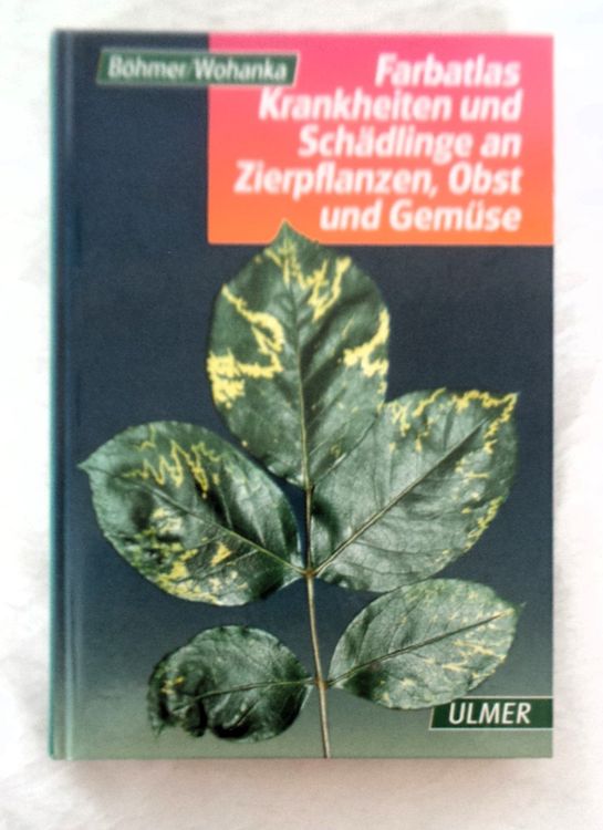 Krankheiten + Schädlinge an Zierpflanzen, Obst und Gemüse Kaufen auf