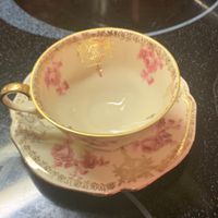 Feine Bavaria Tasse mit Unterteller, Rosen, Golddekor