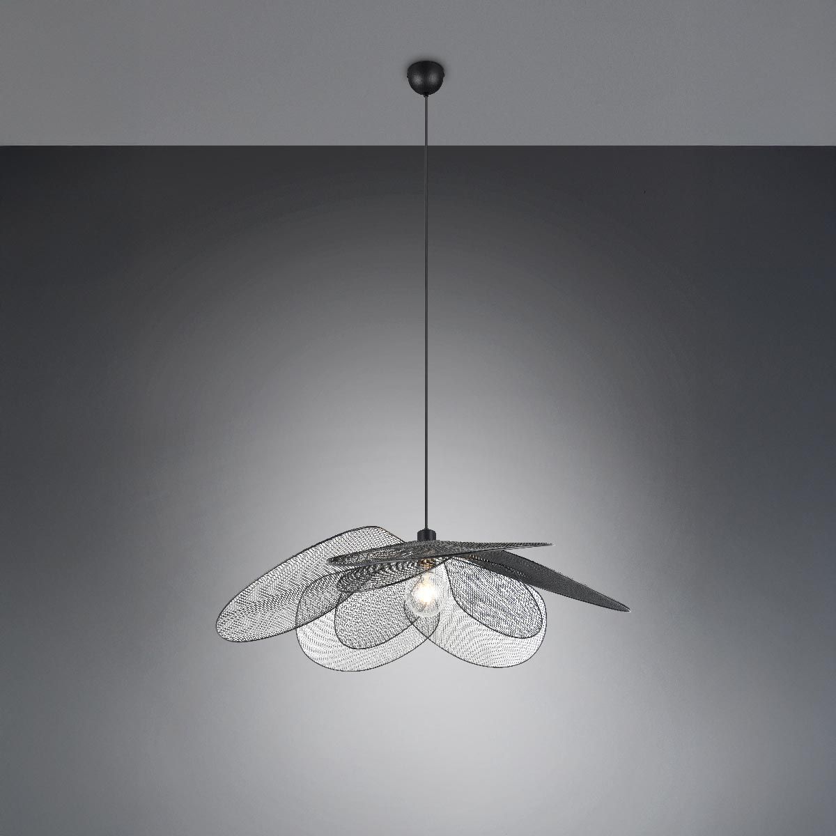 Lampadari & plafoniere: Pendelleuchte, Höhe anpassbar 87 cm Ø – Nuovo (secondo la descrizione) da Kreuzlingen venduto da Smart-Light 2