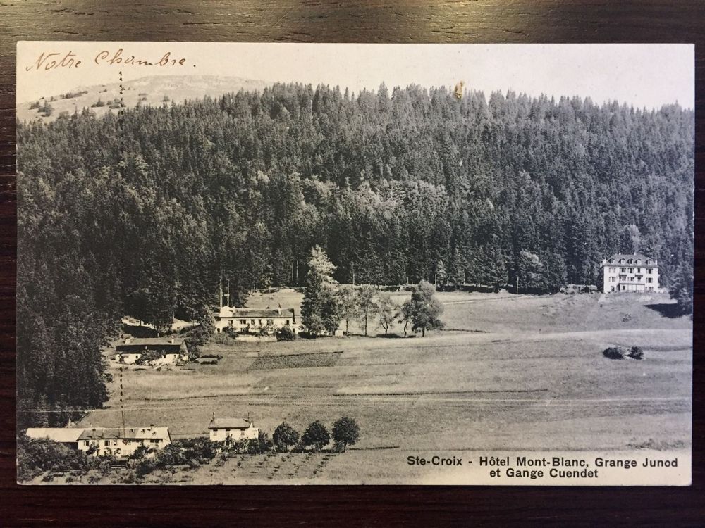SteCroix/SainteCroix Hotel MontBlanc Kaufen auf Ricardo