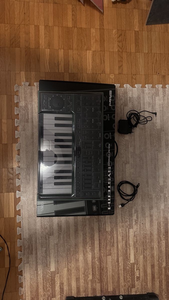 Roland Strumenti musicali: Roland Aira System 1 – Usato da zürich venduto da alesfresser