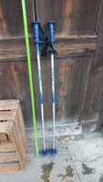 Skistöcke Stockli blau silber