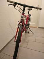 Electralyte Ebike Not finished Projekt Battery not included