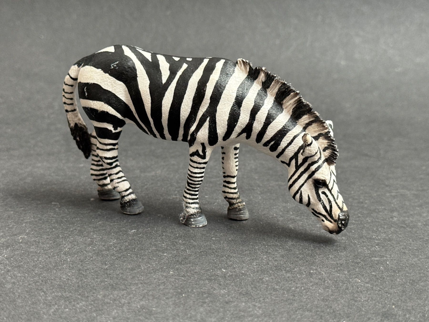 Schleich Statuette: Schleich 14609 Zebra, grasend – Usato da Ennetbaden venduto da mapa05 4