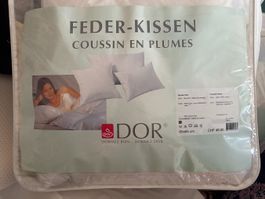 Feder Kissen Dor 65x65cm