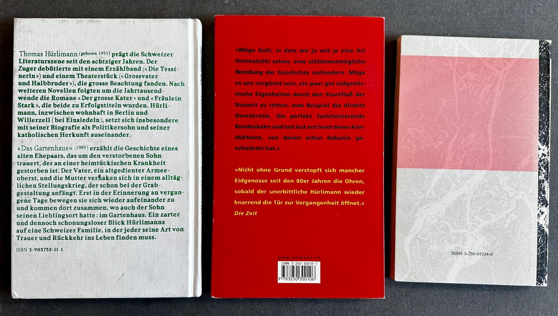 Libri: Thomas Hürlimann Bücherpaket 5 Bände – Usato da Zürich venduto da allp 3