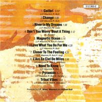 Patent Ochsner THE RIMINI FLASHDOWN Dani Woodtli CD