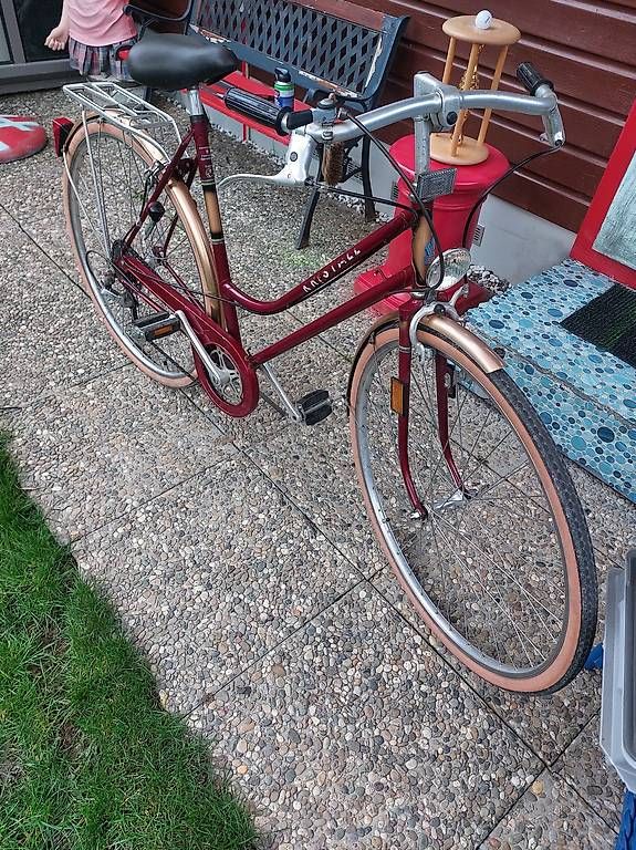 Biciclette: Damenvelo – Difettoso da Twann venduto da emmilein 1
